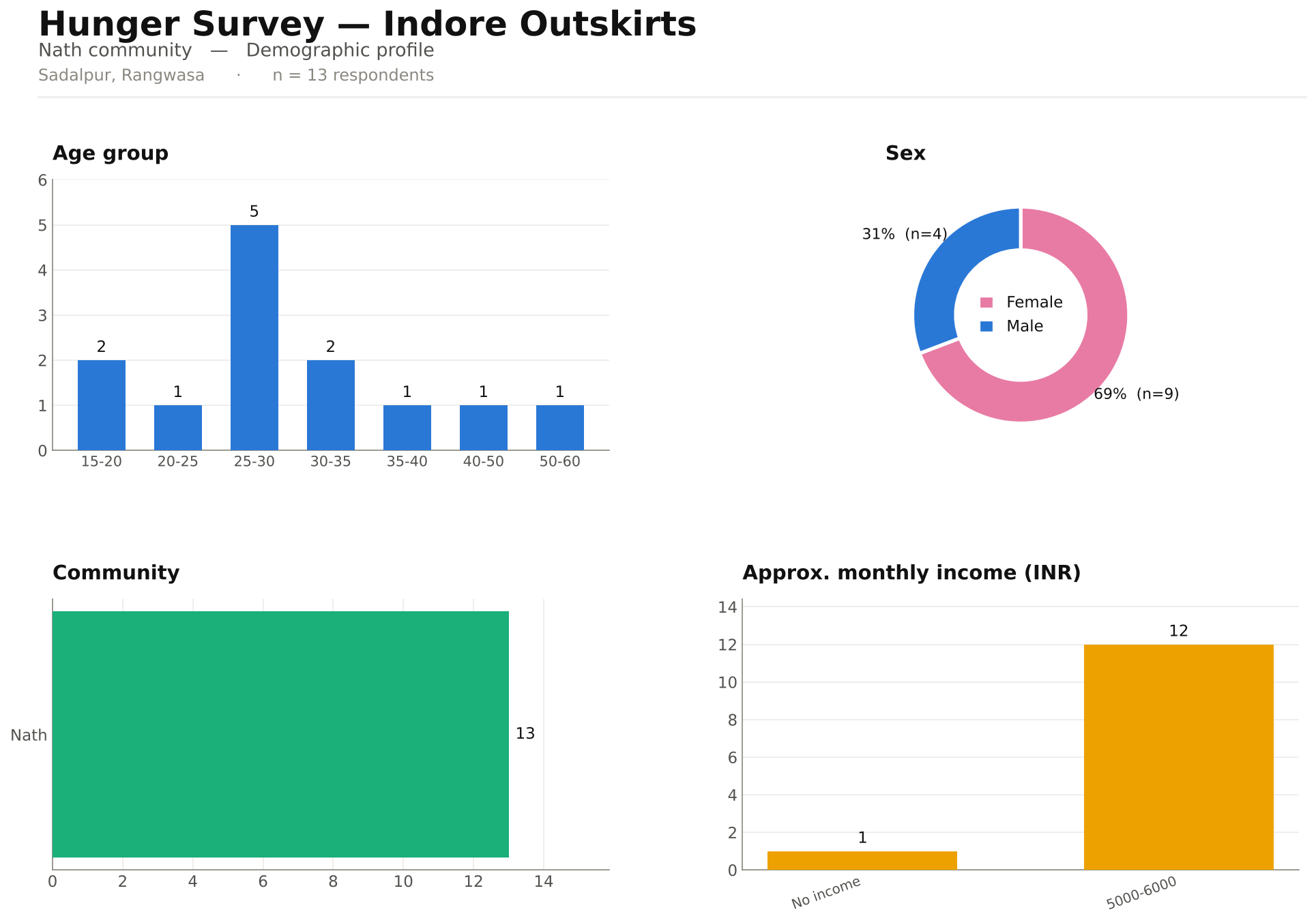 Indore outskirts: age, sex, community and income of the Nath households.